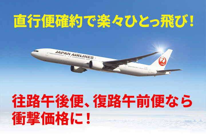 キャンペーン仕様