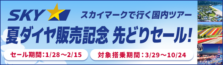 スカイマーク超新春セール