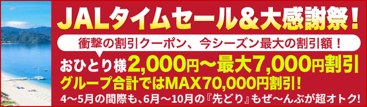 沖縄旅行・北海道旅行・格安国内旅行・国内ツアーのニーズツアー