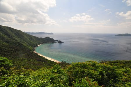 手つかずの自然と絶景を満喫！奄美大島を楽しめるホテルチョイスプラン！