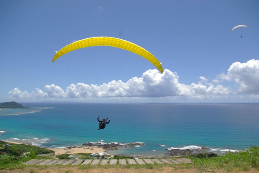 チョイスプラン アクティビティ