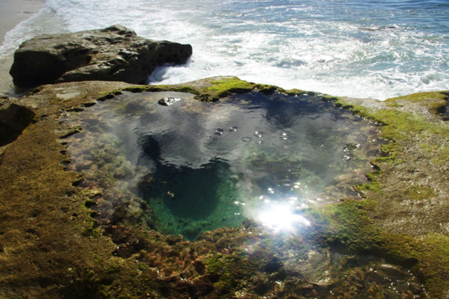 チョイスプラン 観光スポット