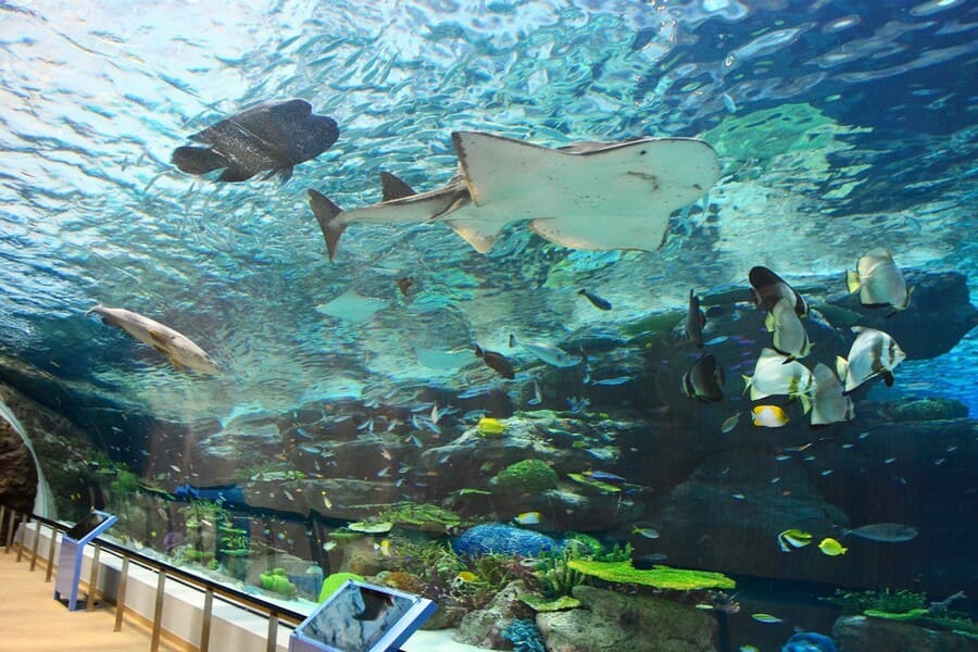 名古屋港水族館