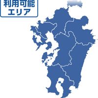 コンフォートホテル博多 2泊3日 関西発peach利用 往路 関西ー長崎 復路 鹿児島ー関西 九州下関周遊3日間 飛行機 バス乗り放題 1泊 ずつ選べるホテルがセットになったお得な周遊プラン