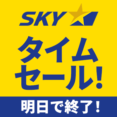 スカイマーク