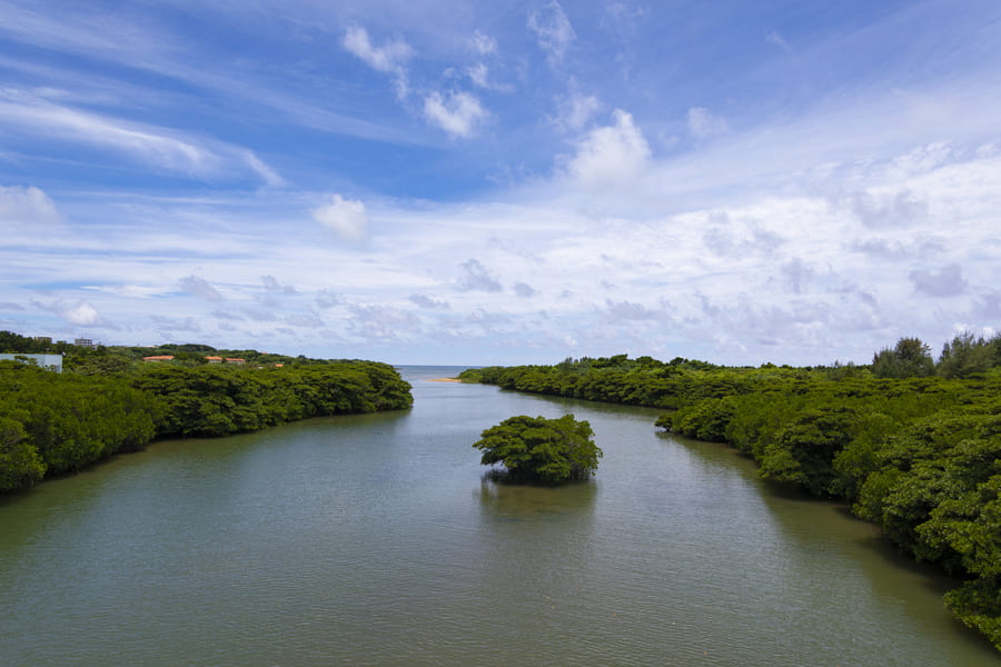 自然の絶景を満喫できる西表島／ジャングルホテルパイヌマヤをメインに周遊！