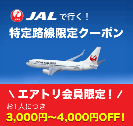 JAL特定路線施策（1泊2日）