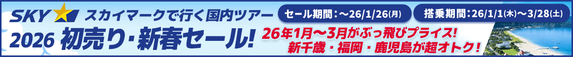 スカイマークタイムセール