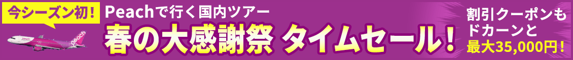 2026年春の大感謝祭　タイムセール