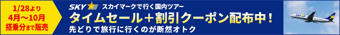 SKY上期スタート+タイムセール
