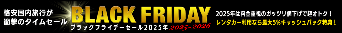 ブラックフライデー 2025
