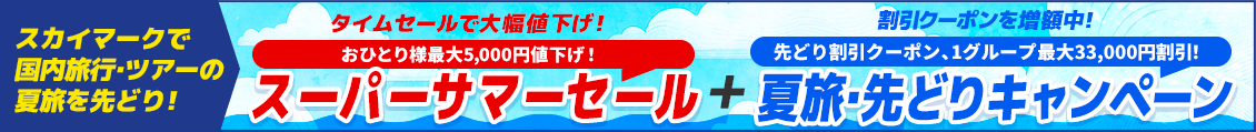 スカイマークTS+先取り　（セール日程記載なし）
