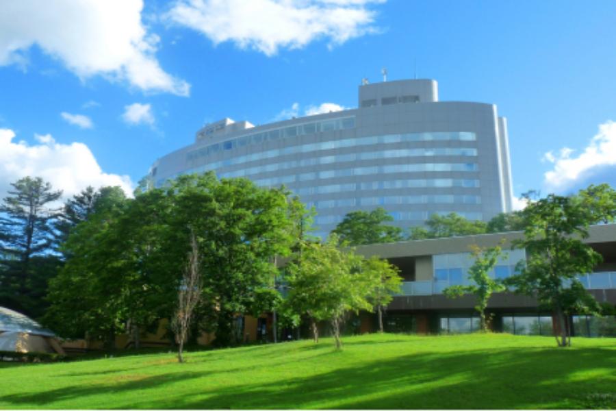 星新富良野プリンスホテルのライトアップされた森の中のログハウス「ニングルテラス」の幻想的な風景