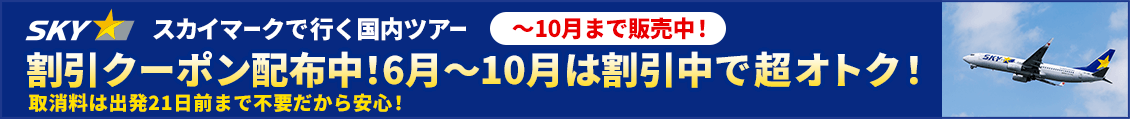 SKY　先どりセール2/24～