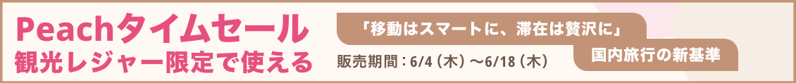 Peach TS（観光特化2up）