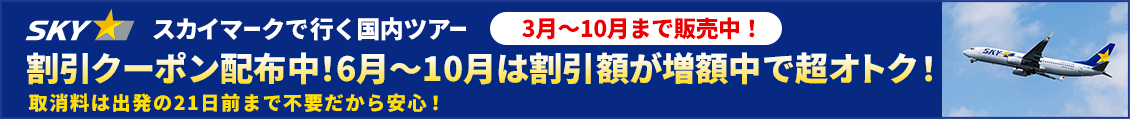 SKY　先どりセール2/24～
