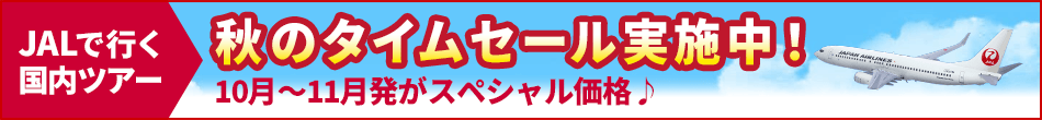 沖縄旅行・沖縄ツアーの格安・最安値予約検索|エアトリ